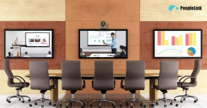 Interactive Display Series - PeopleLink